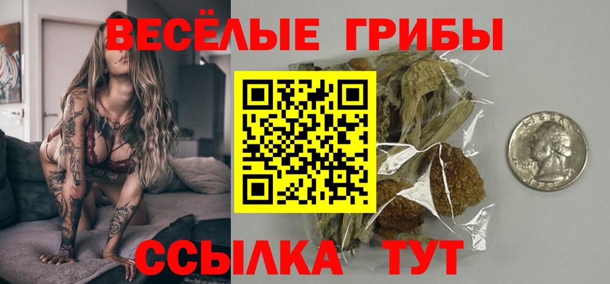 Галлюциногенные грибы MAGIC MUSHROOMS  Вход с VPN  Миасс 